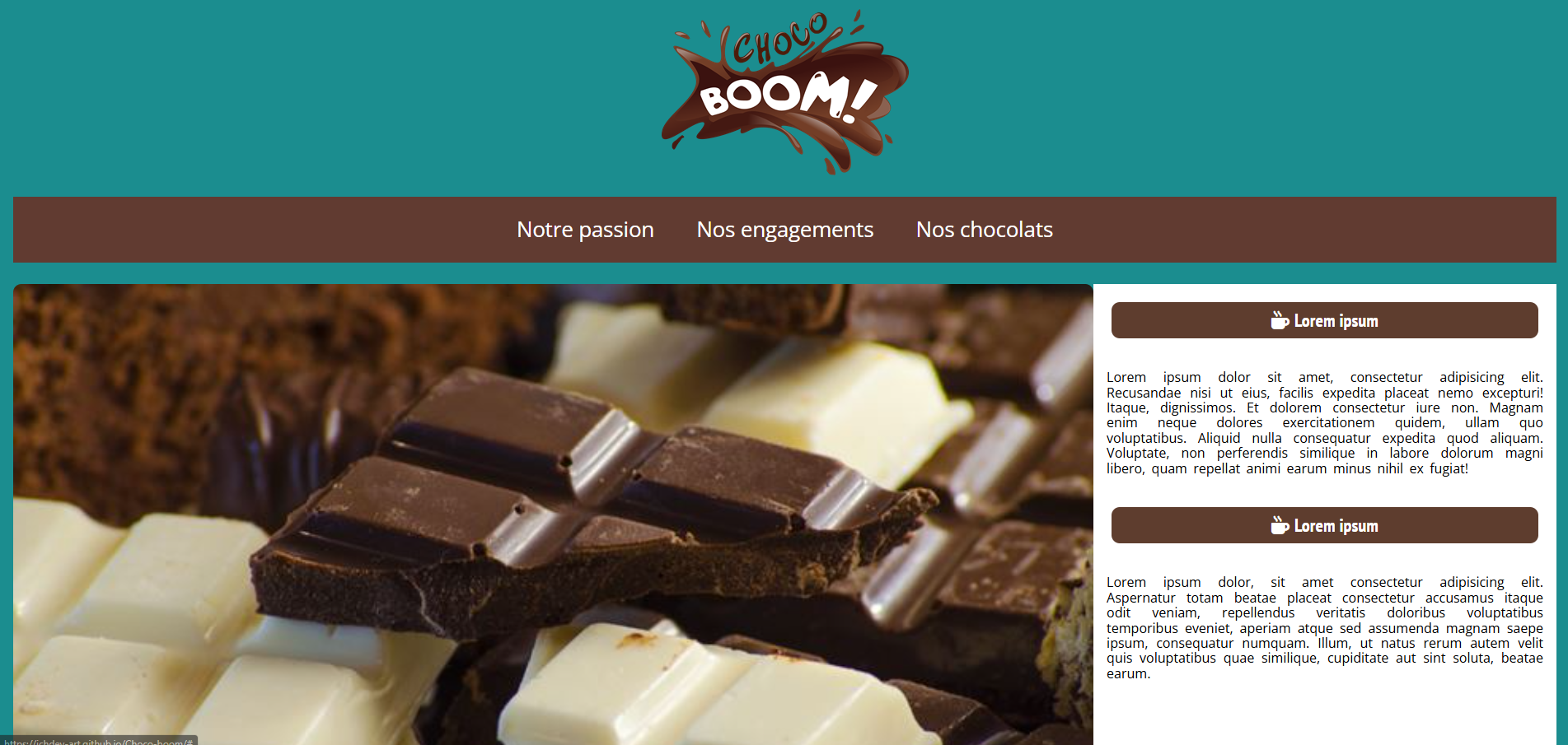 Aperçu du projet chocoboom