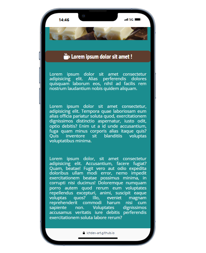 Aperçu du projet chocoboom responsive 2